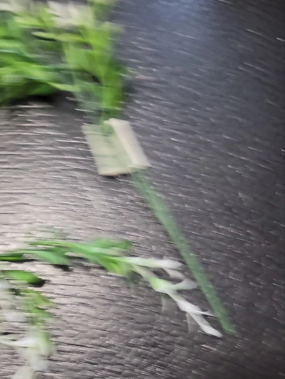 Artificial Greenery Foral Plant with White Tips